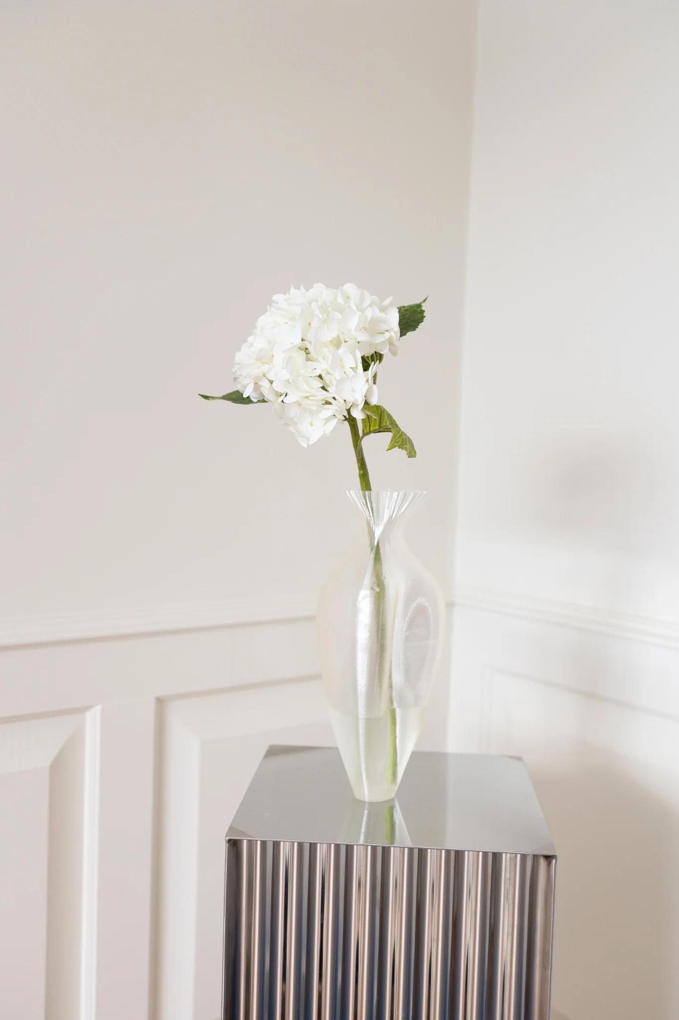 Hortensia - hvid - Image 3