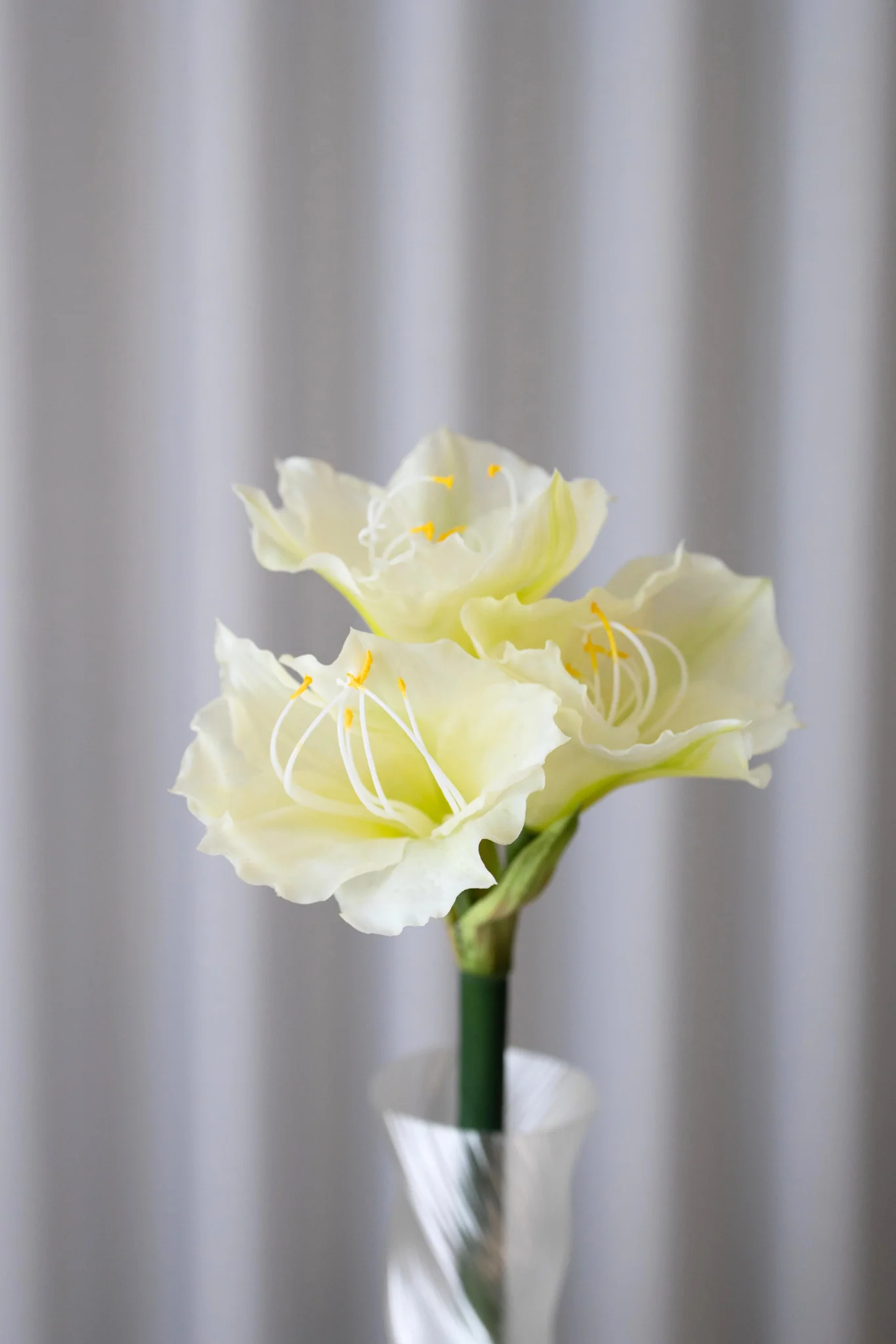 Kunstig amaryllis - hvid - Image 3