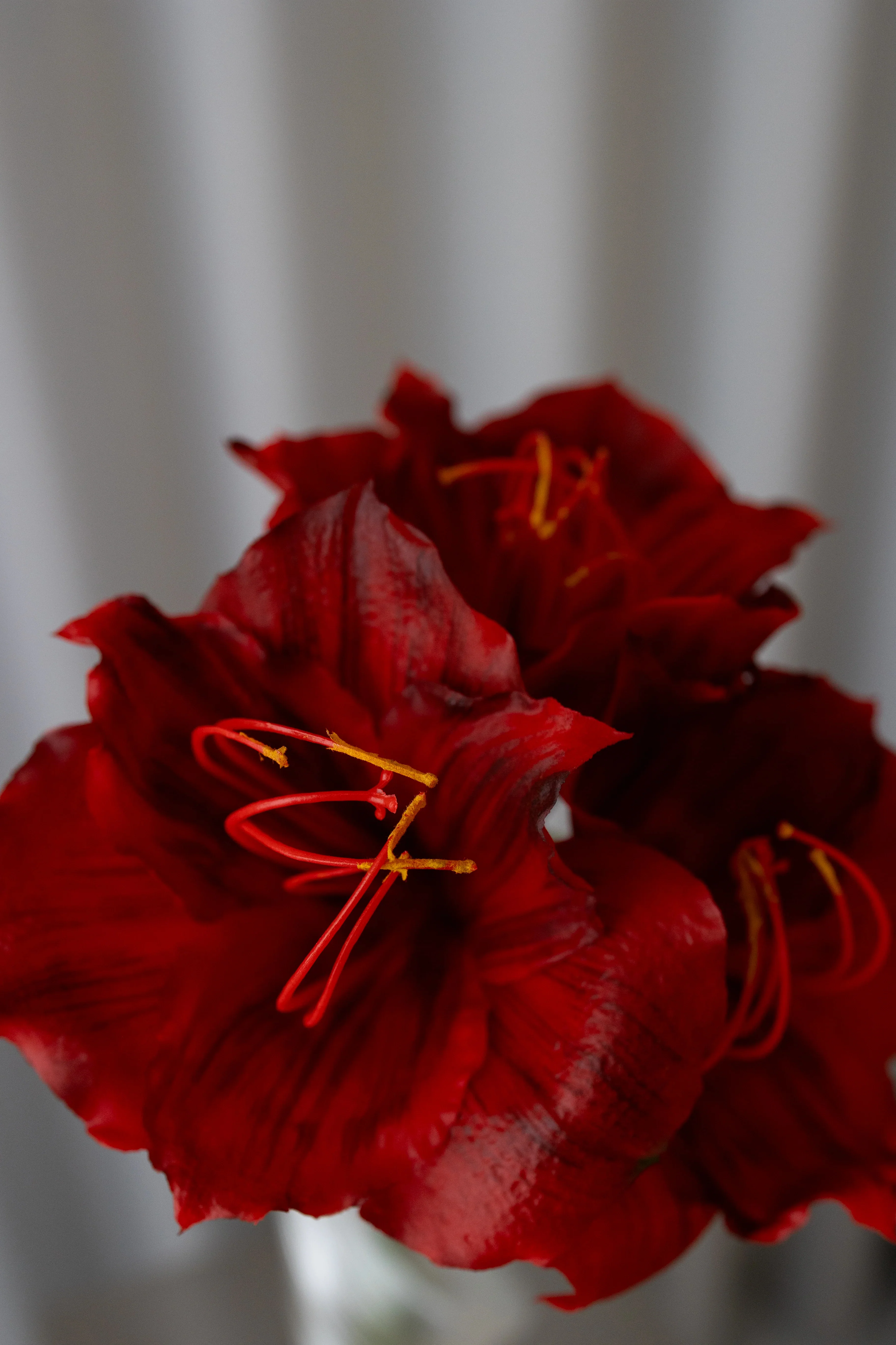 Kunstig amaryllis - rød - Image 2