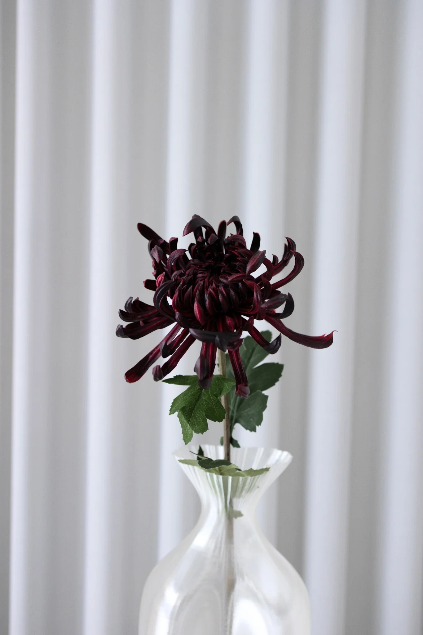 Kunstig chrysanthemum - bordeaux - Image 6