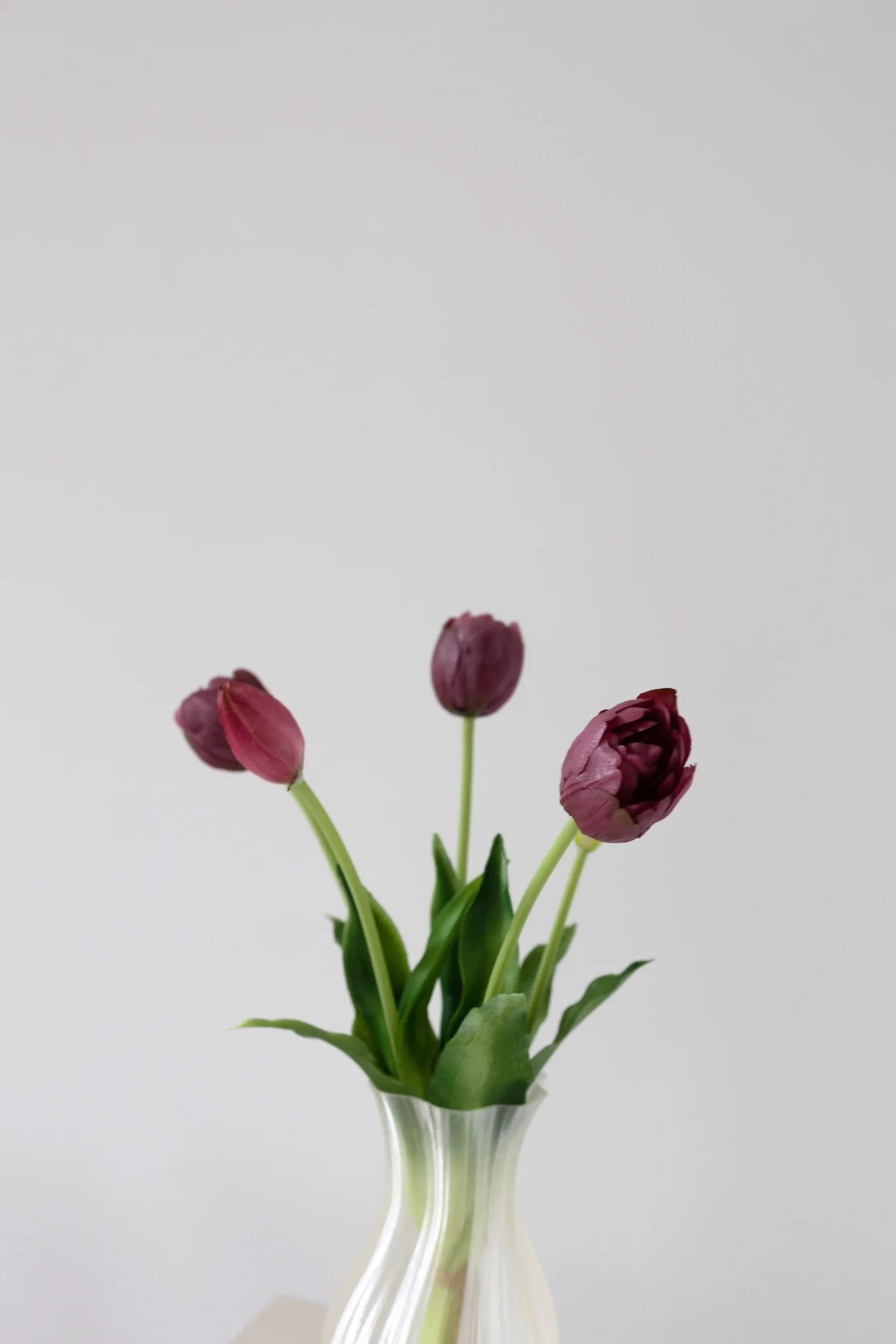 Kunstige tulipaner buket - Bordeaux - Image 2