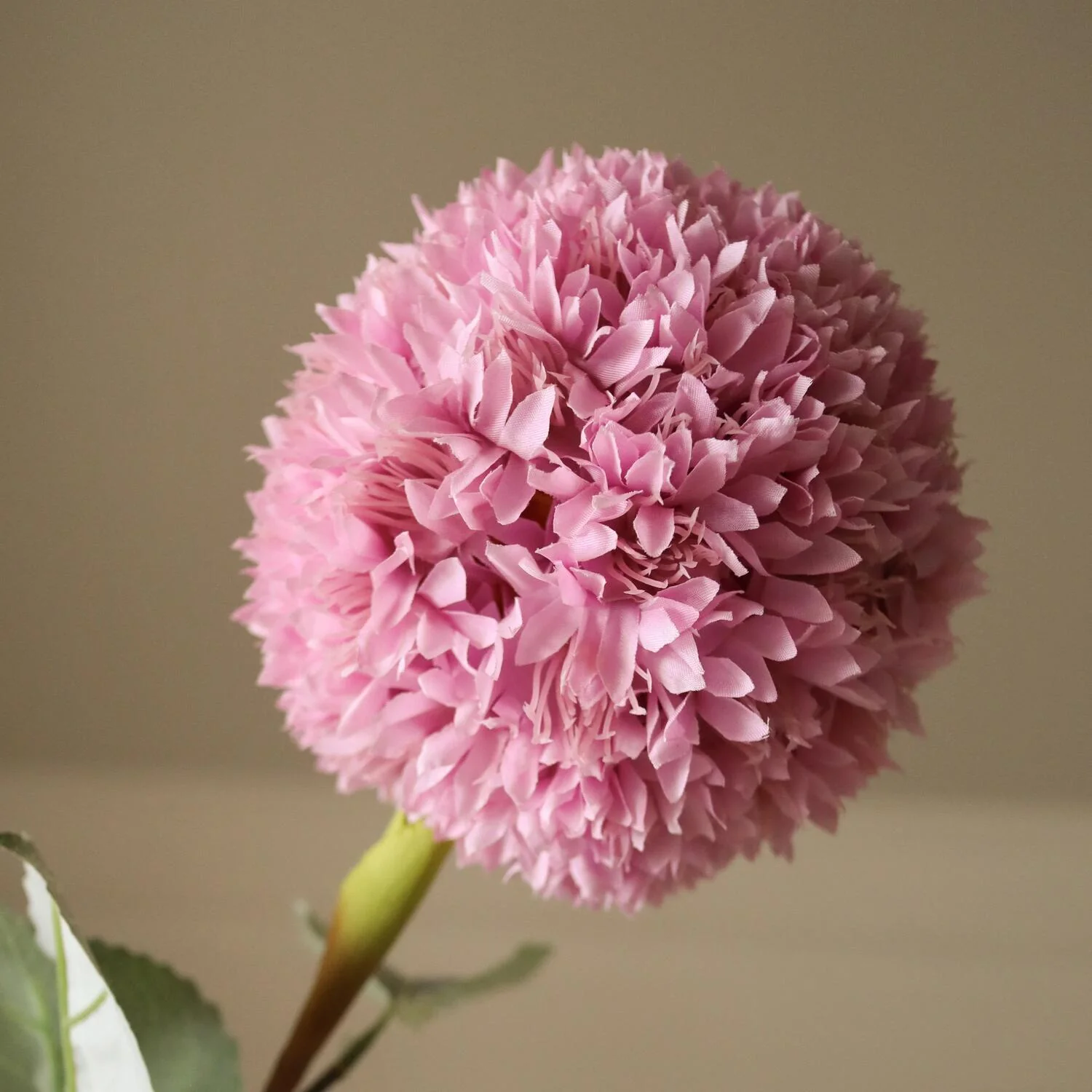 Allium Azureum Bulb kunstig blomst - pink - Image 2