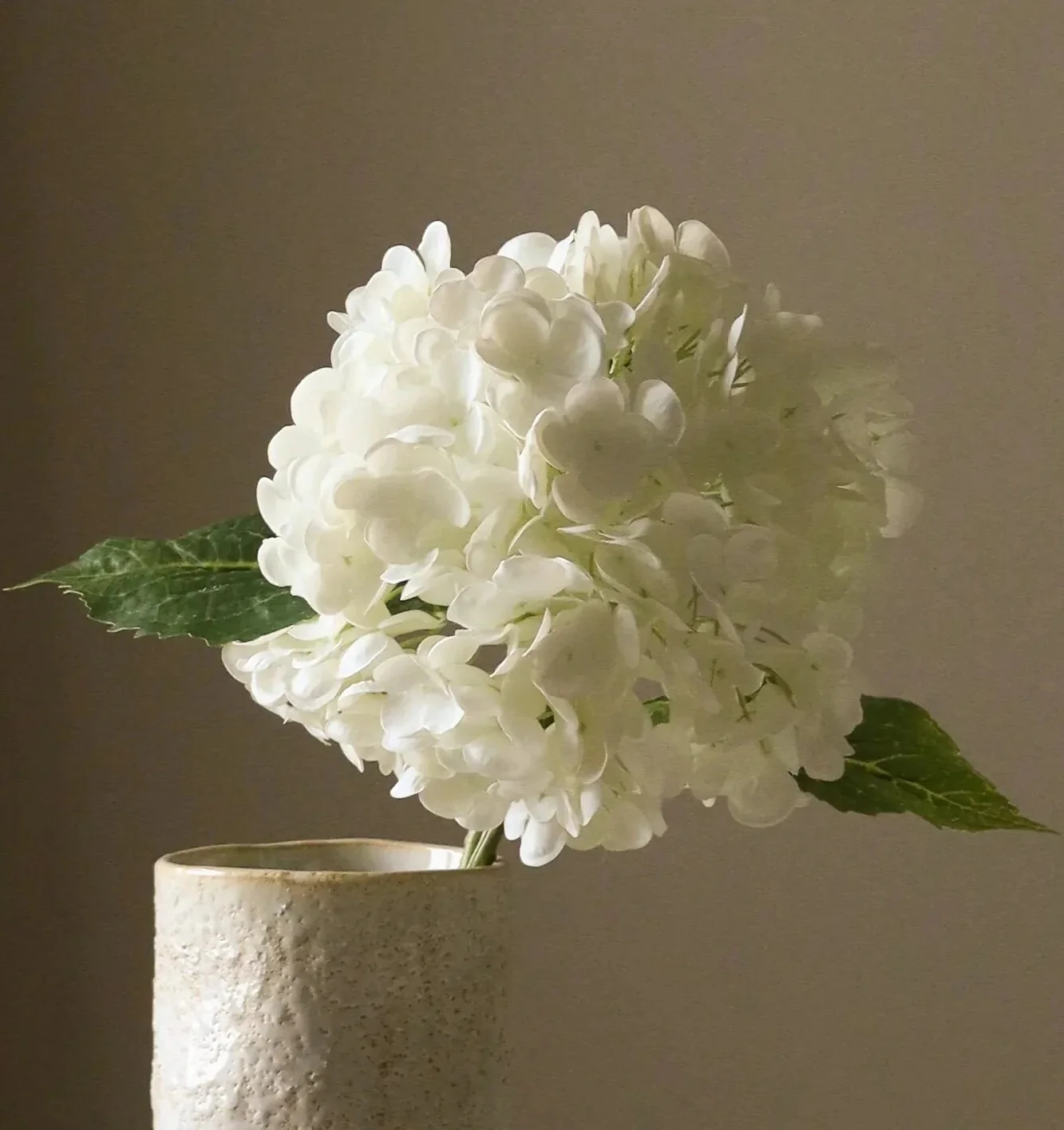 Hortensia blomst - hvid - Image 2