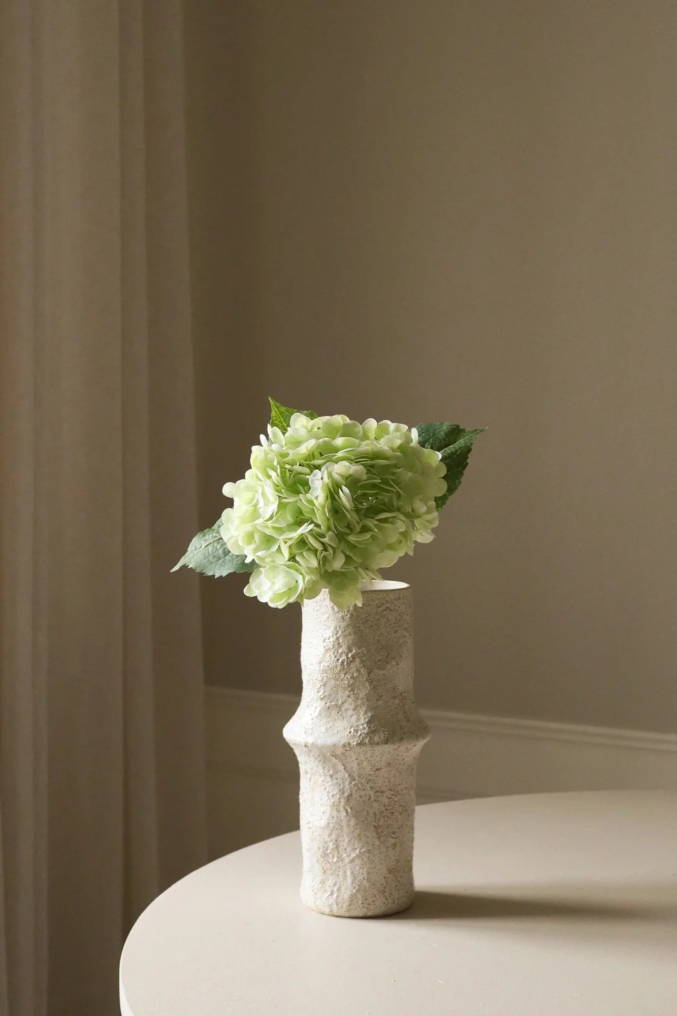 Hortensia blomst - lys grøn