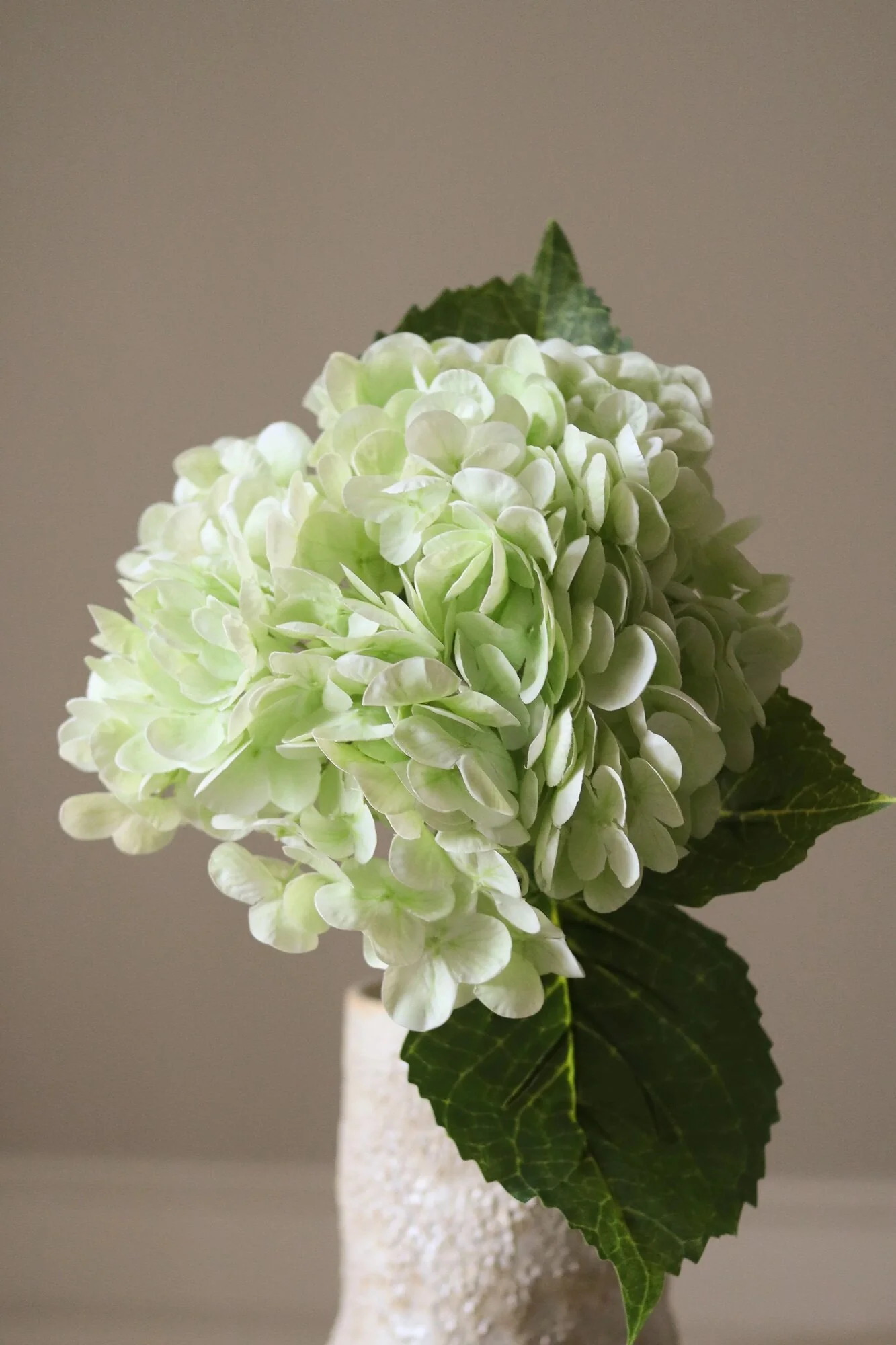 Hortensia blomst - lys grøn - Image 2