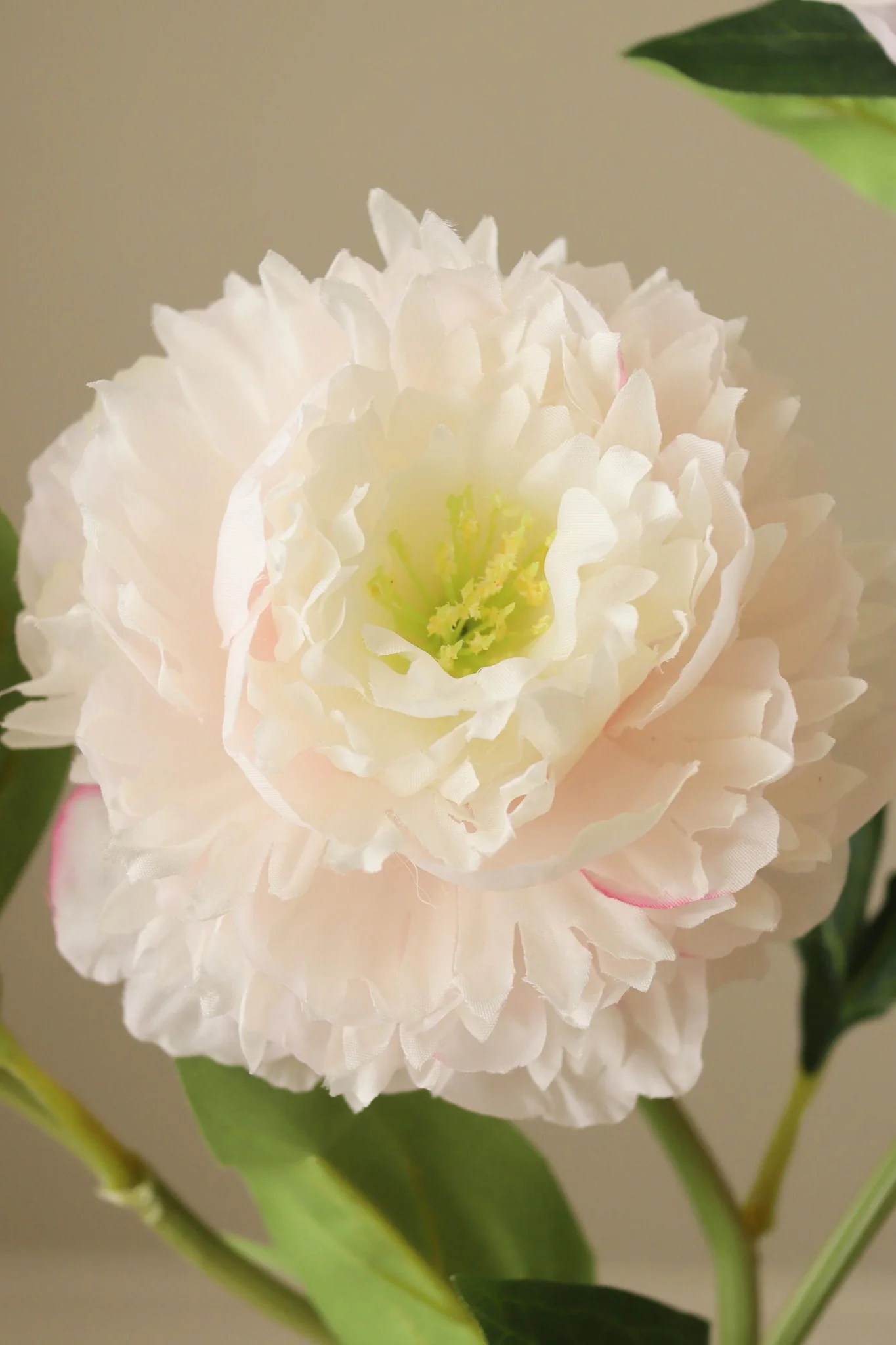 Pæon blomst - rosa - Image 2