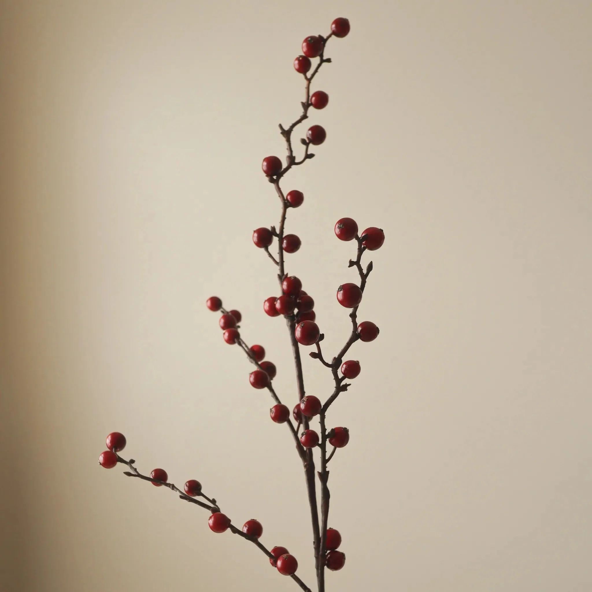 Winterberry gren - mørkerød - Image 2