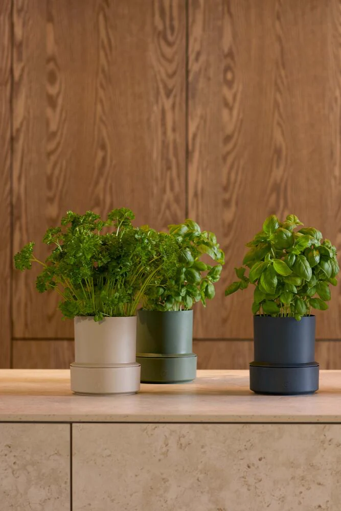 Billund selvvandende urtepotteskjuler, Parsley - H14 cm - Image 2