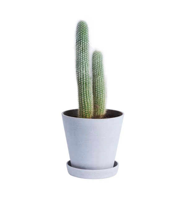 Flowerpot urtepotteskjuler, S - grå - Ø: 11 cm. - Image 3