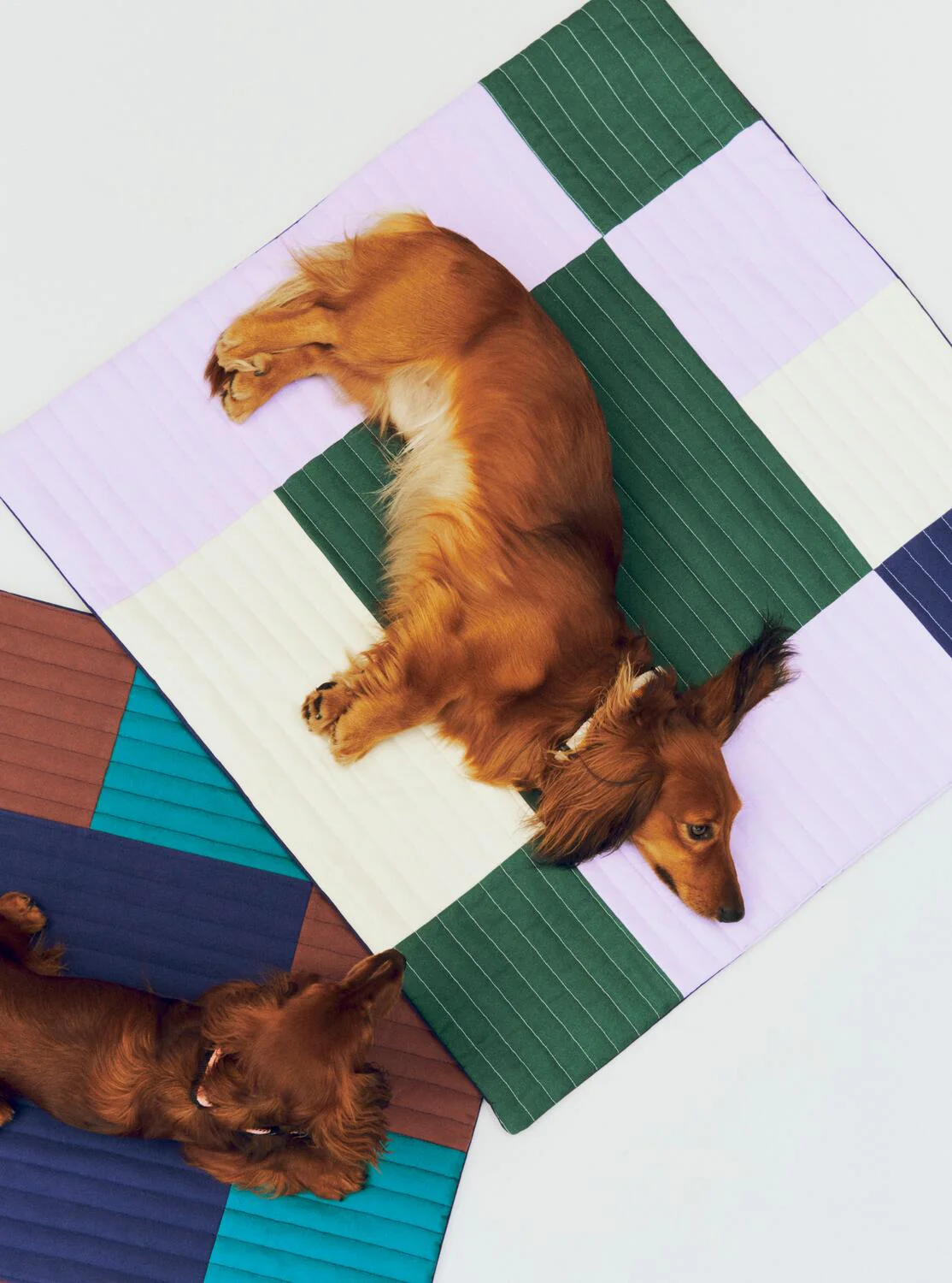 Rejsetæppe til hunde, Lavendel/grøn - 80x80 cm. - Image 2