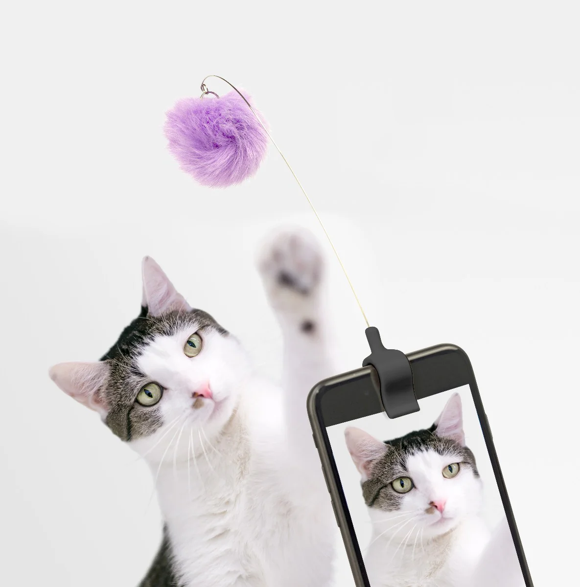 Kitty phone klips - multi - Image 5