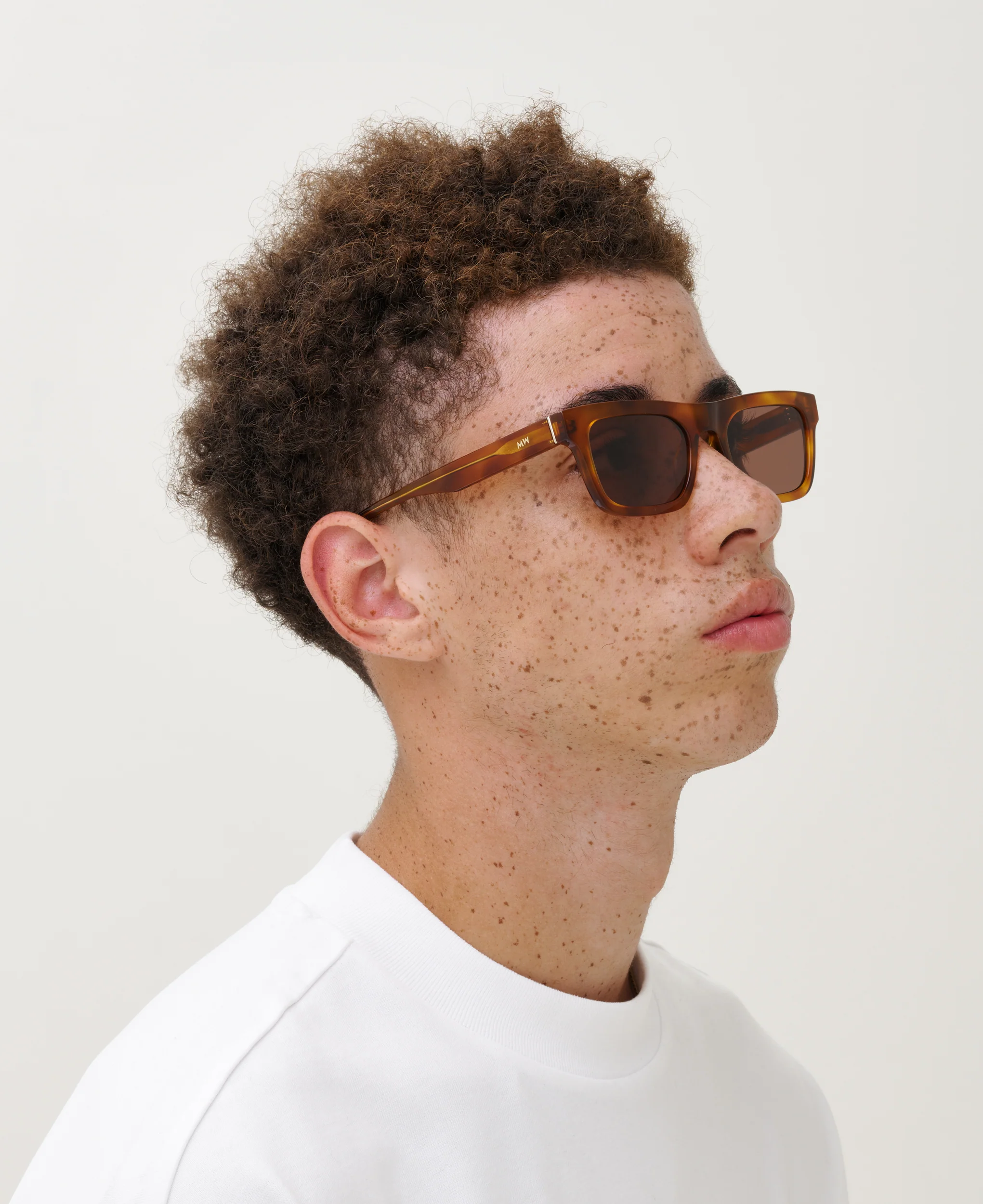 New Dylan solbrille - Havana - Image 7