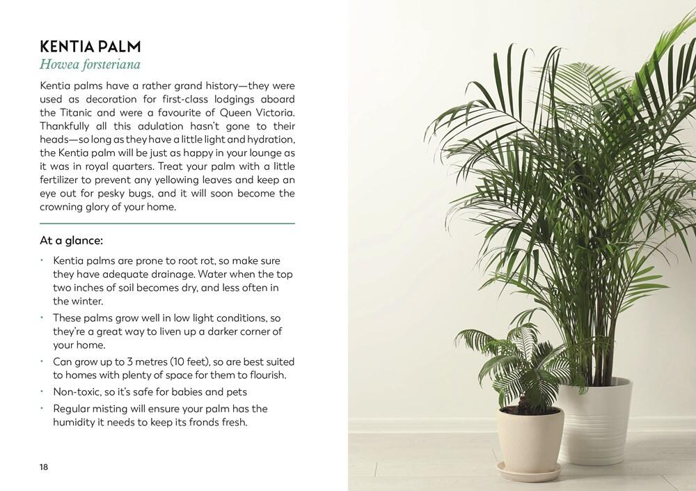 The Little Book for Plant Parents bog - Image 2