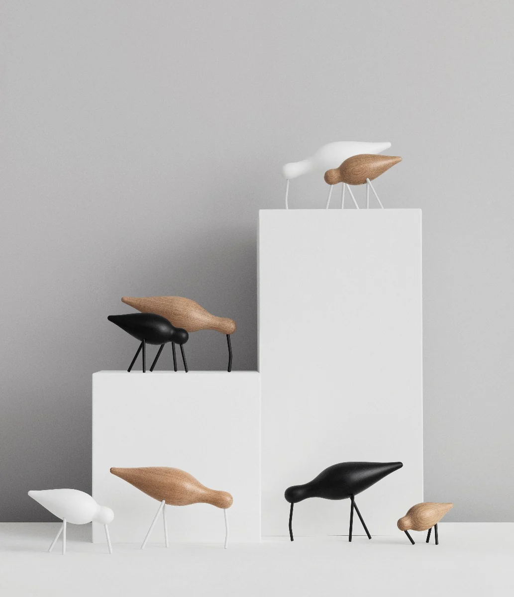 Shorebird, natur med sorte ben - mellem - Image 3