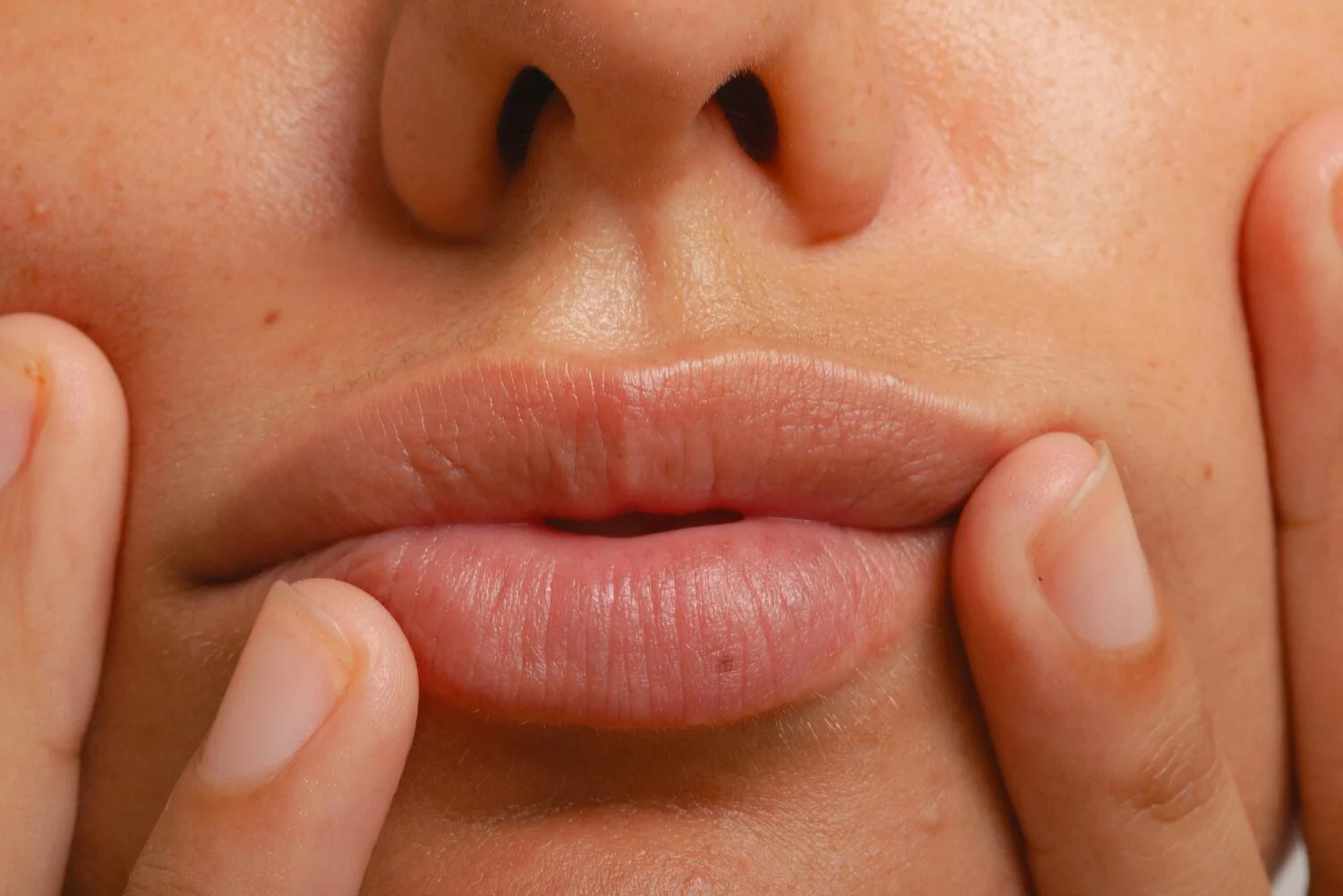 Lip Balm, Aloe Vera Jojoba - 10 ml - Image 3