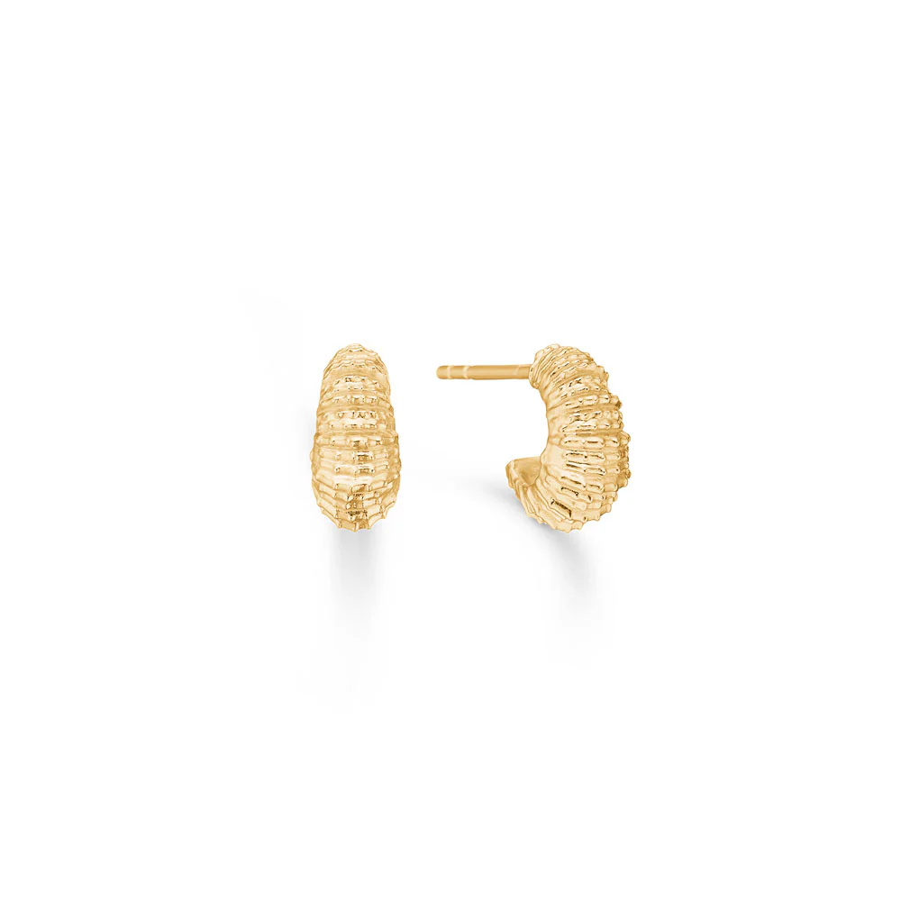 Seashell Secrets hoops, lille - forgyldt